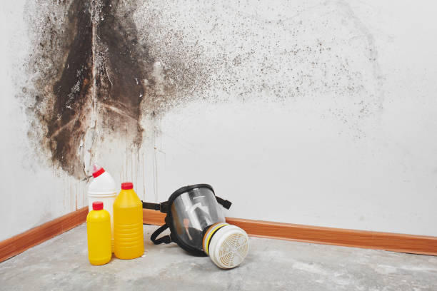 Water Damage Restoration in Alpine, CA